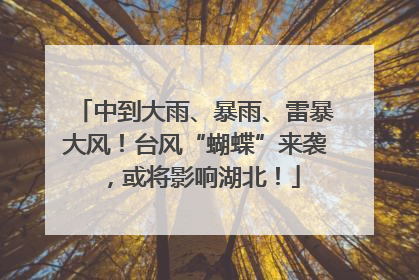 中到大雨、暴雨、雷暴大风！台风“蝴蝶”来袭，或将影响湖北！