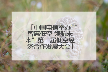 中国电信举办“智惠低空 领航未来”第二届低空经济合作发展大会