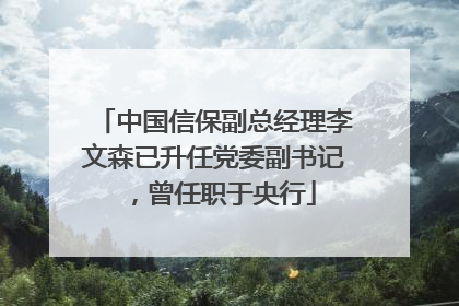 中国信保副总经理李文森已升任党委副书记，曾任职于央行