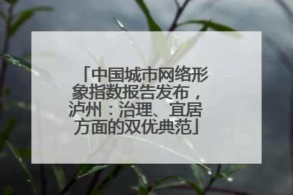 中国城市网络形象指数报告发布，泸州：治理、宜居方面的双优典范