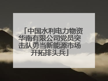 中国水利电力物资华南有限公司党员突击队勇当新能源市场开拓排头兵