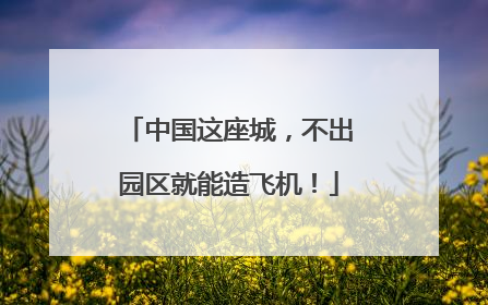 中国这座城，不出园区就能造飞机！