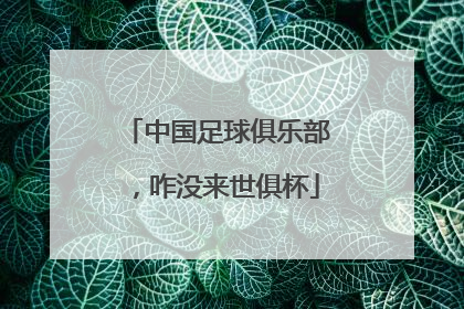 中国足球俱乐部，咋没来世俱杯