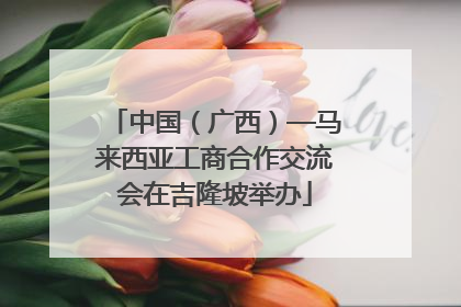 中国（广西）—马来西亚工商合作交流会在吉隆坡举办