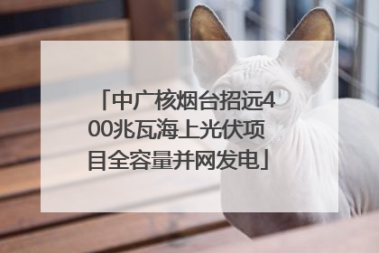 中广核烟台招远400兆瓦海上光伏项目全容量并网发电
