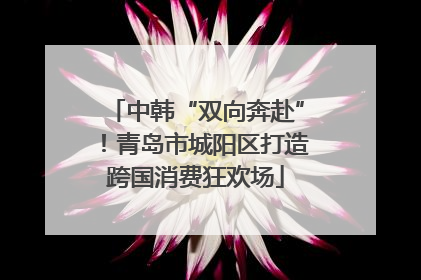 中韩“双向奔赴”！青岛市城阳区打造跨国消费狂欢场
