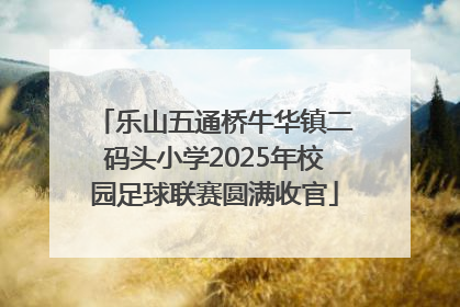 乐山五通桥牛华镇二码头小学2025年校园足球联赛圆满收官
