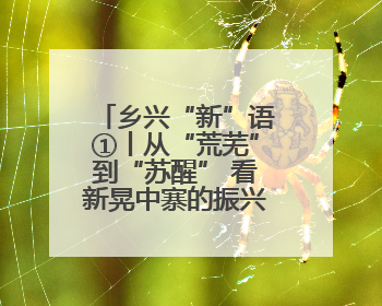 乡兴“新”语①丨从“荒芜”到“苏醒” 看新晃中寨的振兴密码