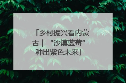 乡村振兴看内蒙古｜“沙漠蓝莓”种出紫色未来