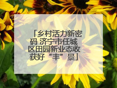 乡村活力新密码 济宁市任城区田园新业态收获好“丰”景