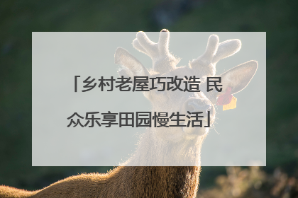 乡村老屋巧改造 民众乐享田园慢生活
