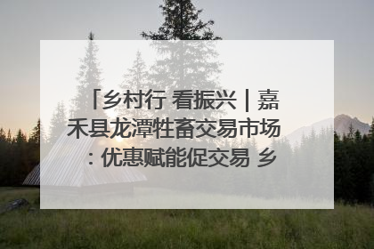 乡村行 看振兴｜嘉禾县龙潭牲畜交易市场：优惠赋能促交易 乡村振兴添动能