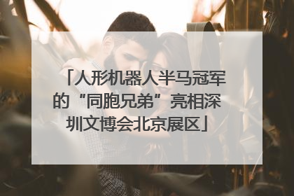 人形机器人半马冠军的“同胞兄弟”亮相深圳文博会北京展区