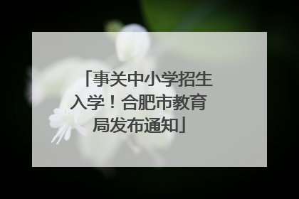 事关中小学招生入学！合肥市教育局发布通知