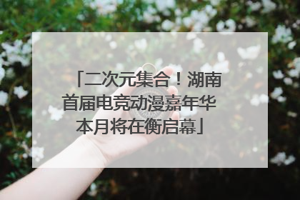 二次元集合！湖南首届电竞动漫嘉年华本月将在衡启幕
