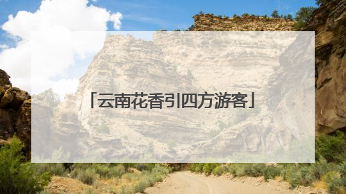 云南花香引四方游客