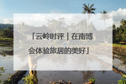 云岭时评｜在南博会体验旅居的美好