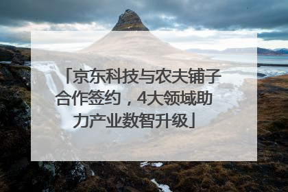 京东科技与农夫铺子合作签约，4大领域助力产业数智升级
