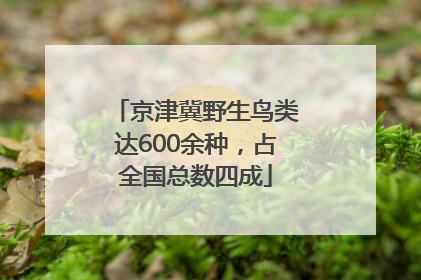 京津冀野生鸟类达600余种，占全国总数四成