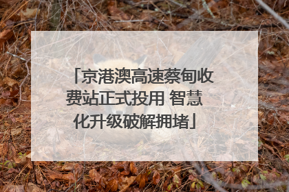 京港澳高速蔡甸收费站正式投用 智慧化升级破解拥堵