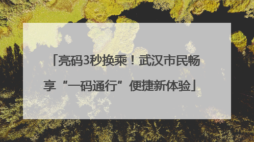 亮码3秒换乘！武汉市民畅享“一码通行”便捷新体验