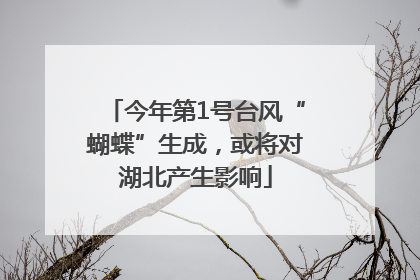 今年第1号台风“蝴蝶”生成，或将对湖北产生影响