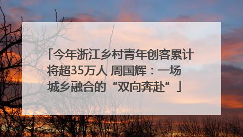今年浙江乡村青年创客累计将超35万人 周国辉：一场城乡融合的“双向奔赴”