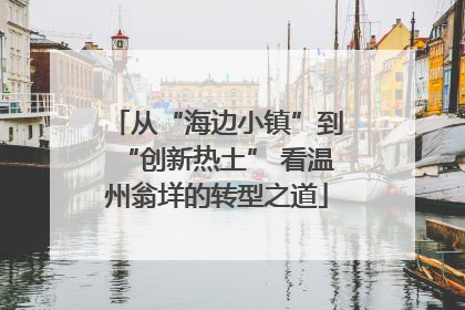 从“海边小镇”到“创新热土” 看温州翁垟的转型之道