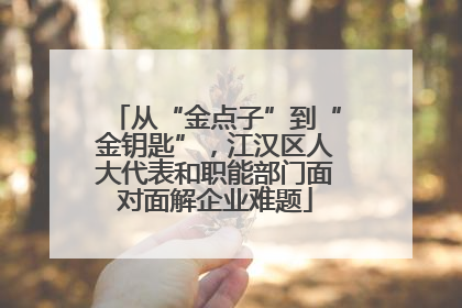 从“金点子”到“金钥匙”，江汉区人大代表和职能部门面对面解企业难题