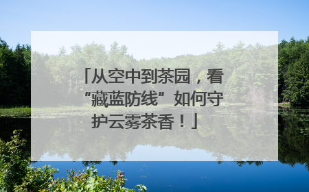 从空中到茶园，看“藏蓝防线”如何守护云雾茶香！