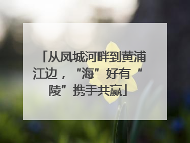 从凤城河畔到黄浦江边，“海”好有“陵”携手共赢