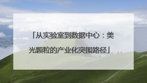 从实验室到数据中心：美光颗粒的产业化突围路径