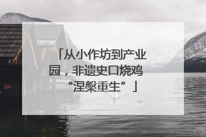 从小作坊到产业园，非遗史口烧鸡“涅槃重生”