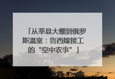 从莘县大棚到俄罗斯温室：鲁西嫁接工的“空中农事”