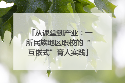 从课堂到产业：一所民族地区职校的“互嵌式”育人实践