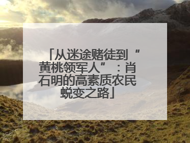 从迷途赌徒到“黄桃领军人”：肖石明的高素质农民蜕变之路