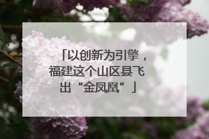 以创新为引擎，福建这个山区县飞出“金凤凰”