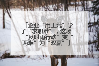 企业“用工荒”学子“求职难”，这场“及时雨行动”变“两难”为“双赢”
