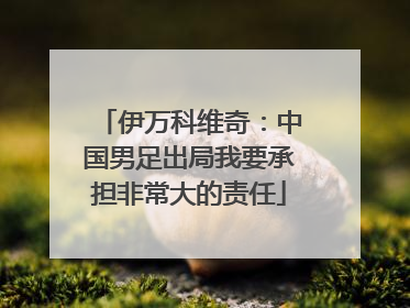 伊万科维奇：中国男足出局我要承担非常大的责任