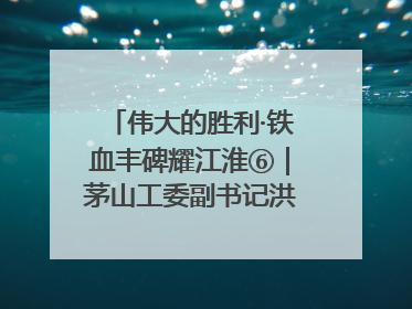 伟大的胜利·铁血丰碑耀江淮⑥｜茅山工委副书记洪天诚的亲笔信