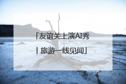 友谊关上演AI秀丨旅游一线见闻