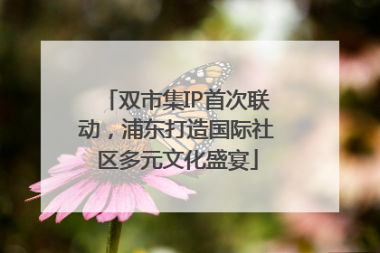 双市集IP首次联动，浦东打造国际社区多元文化盛宴