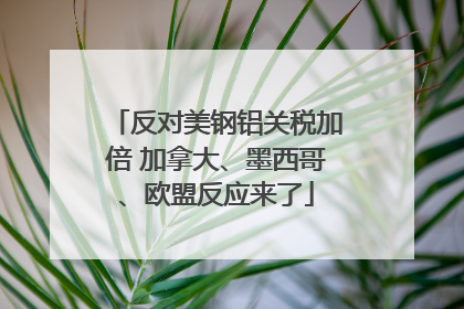 反对美钢铝关税加倍 加拿大、墨西哥、欧盟反应来了