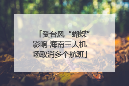 受台风“蝴蝶”影响 海南三大机场取消多个航班