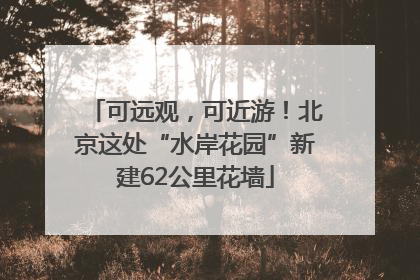 可远观，可近游！北京这处“水岸花园”新建62公里花墙