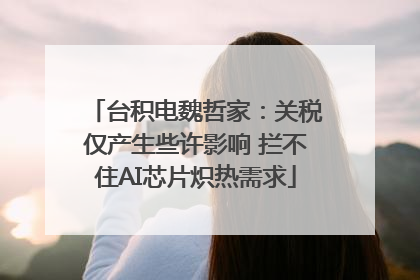 台积电魏哲家：关税仅产生些许影响 拦不住AI芯片炽热需求
