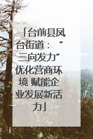台前县凤台街道：“三向发力”优化营商环境 赋能企业发展新活力