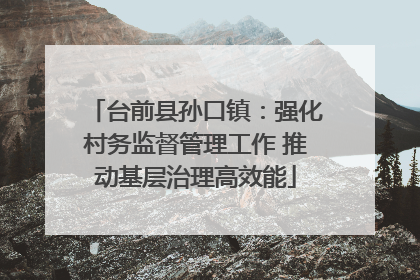 台前县孙口镇：强化村务监督管理工作 推动基层治理高效能