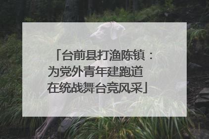 台前县打渔陈镇：为党外青年建跑道 在统战舞台竞风采