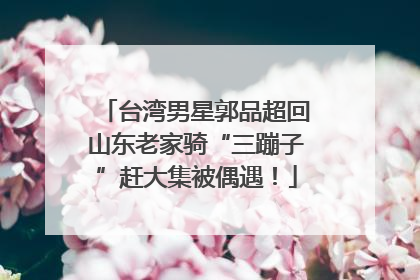 台湾男星郭品超回山东老家骑“三蹦子”赶大集被偶遇！
